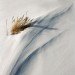 "Baltijas ziemas minimālisms" : Fotografēts ar Canon EOS 300X, Tūjā